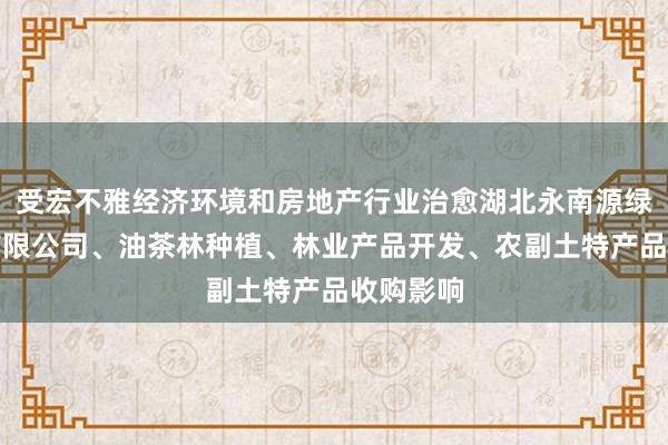 受宏不雅经济环境和房地产行业治愈湖北永南源绿色食品有限公司、油茶林种植、林业产品开发、农副土特产品收购影响